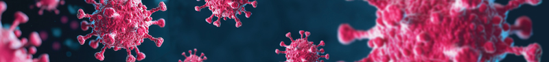 Herpes virus